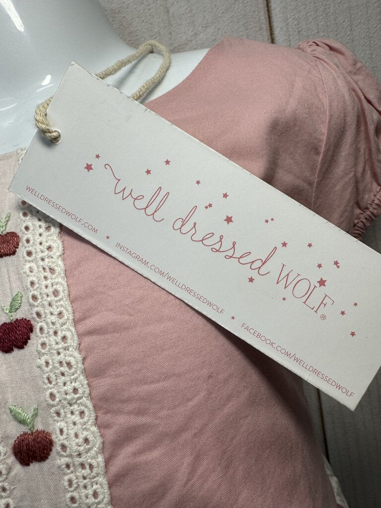 NWT Pink School Days Dress WDW