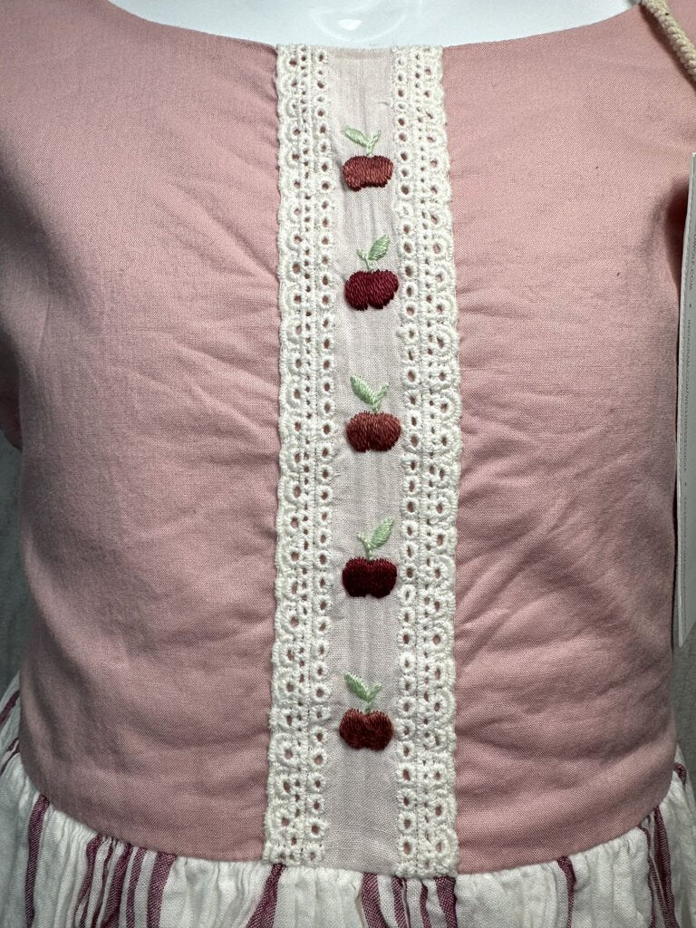 NWT Pink School Days Dress WDW