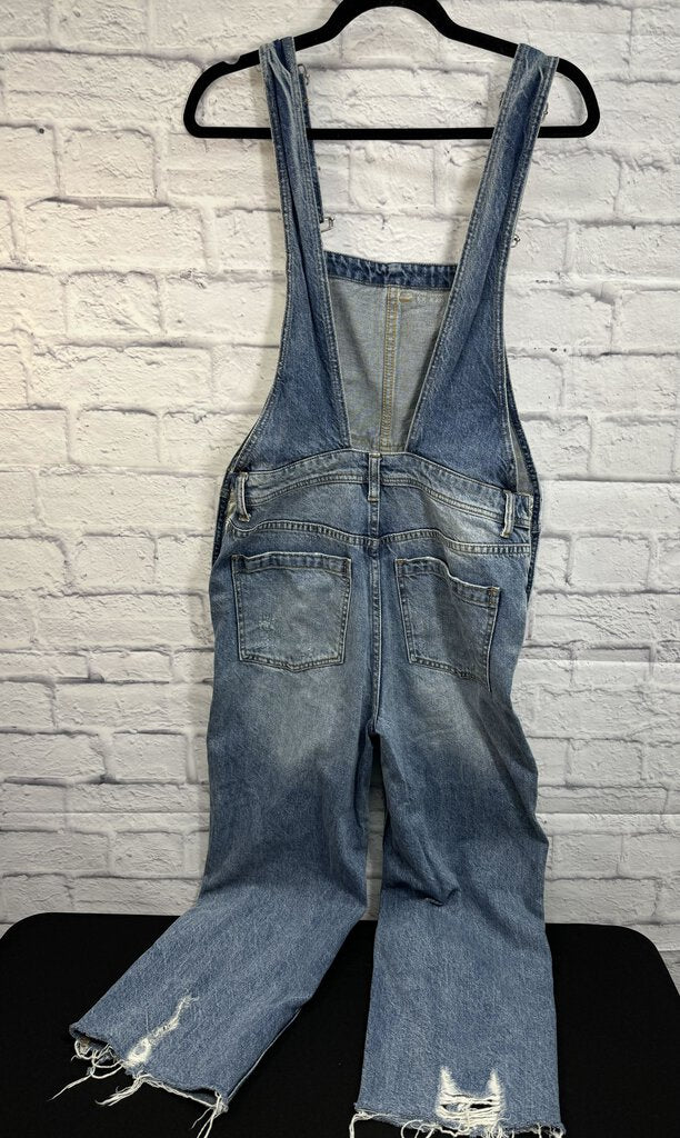 Free People Denim Overalls